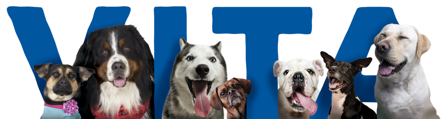 VITA - Comida natural para perros