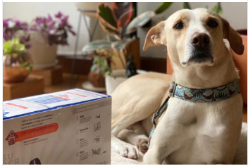 El alimento es la medicina