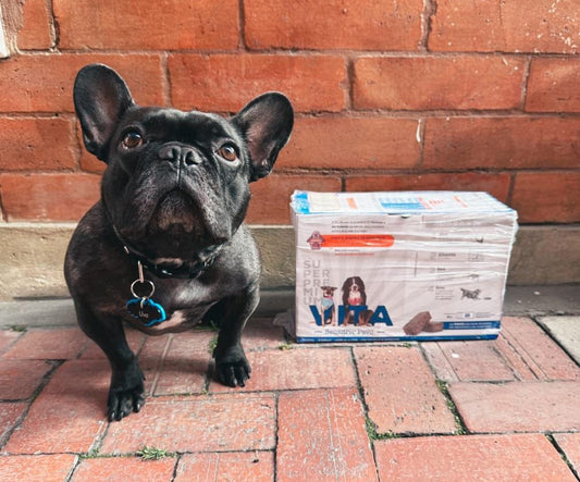 La clave de una vida larga y feliz para tu perrito es la alimentación