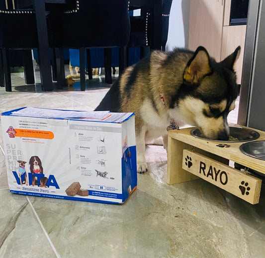 Beneficios de la carne de PAVO para tu perrito