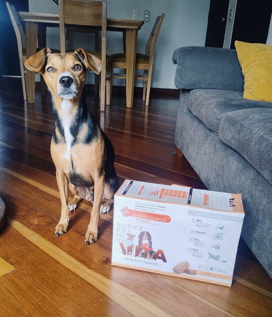 Descifrando la tabla nutricional de alimentos para perros