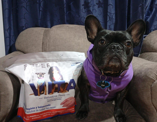 Vita  alimento vital y bulldog francés 