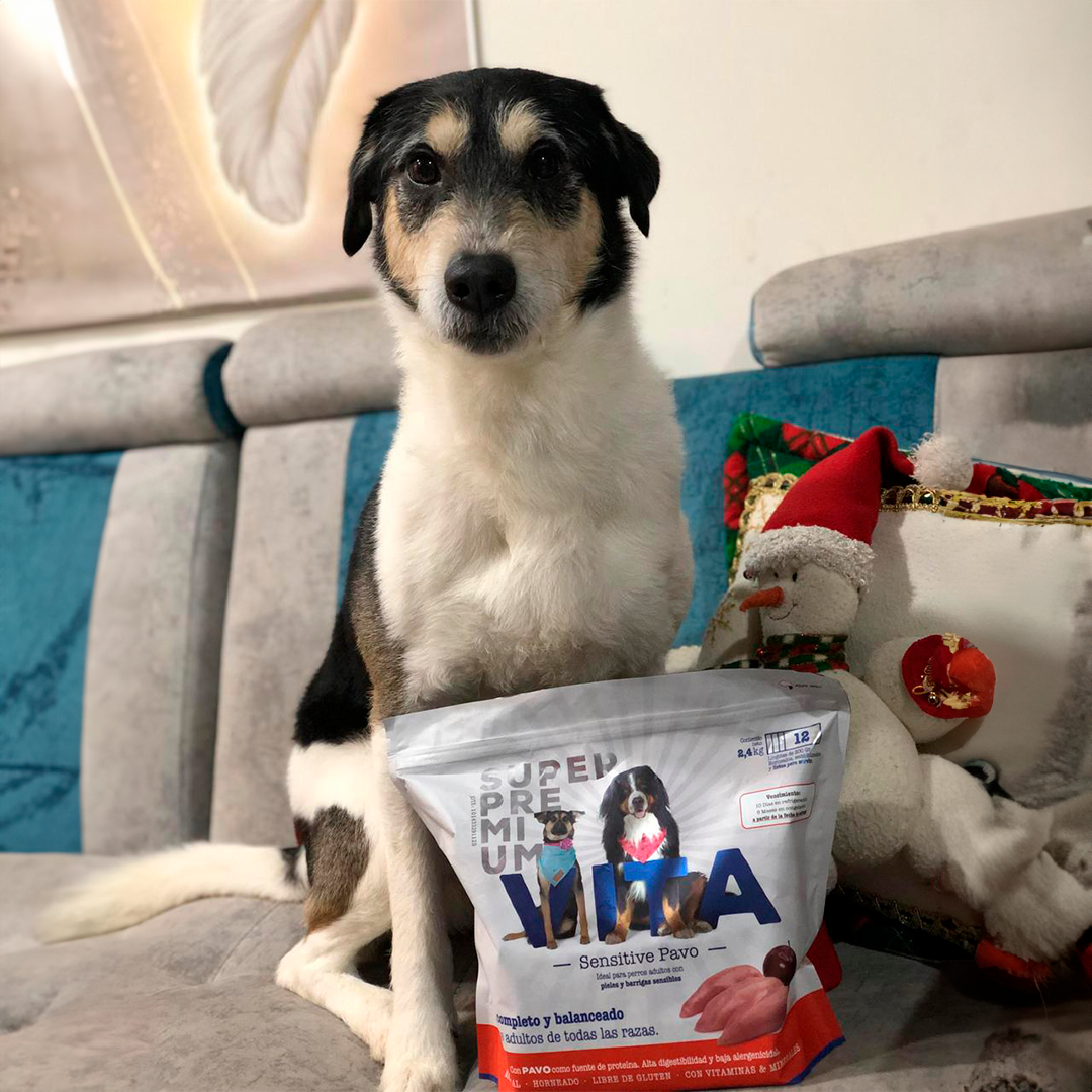 ¿Existen tiendas online confiables para comprar comida para perro en Colombia?