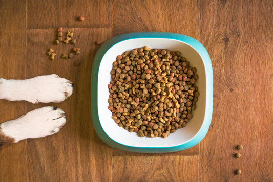 ¿Concentrado o alimento natural para mi perro?